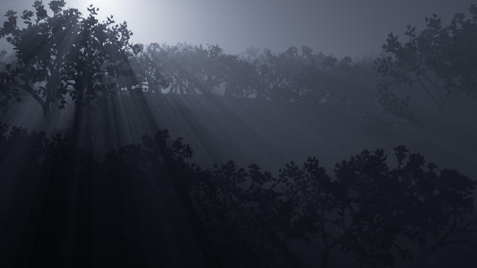 The Forest WIP - Flora&#39;s Magical World