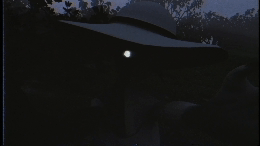 Miscellaneous Zoom In - Flora's Magical World