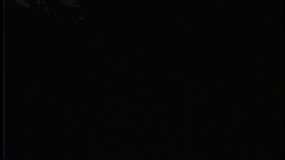 Miscellaneous Walking - Flora&#39;s Magical World